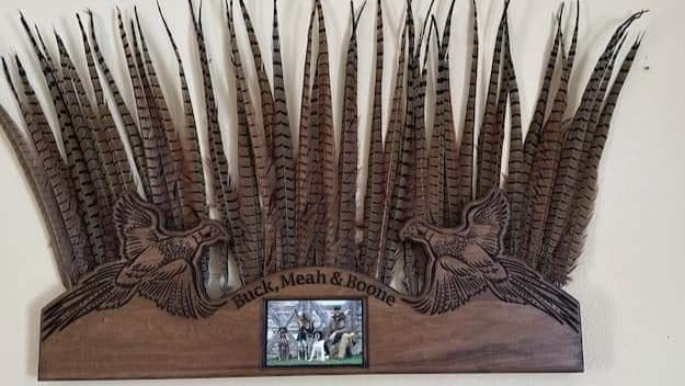 Personalized Double Wide Pheasant Tail Mount Plaque - Tail Feather Display